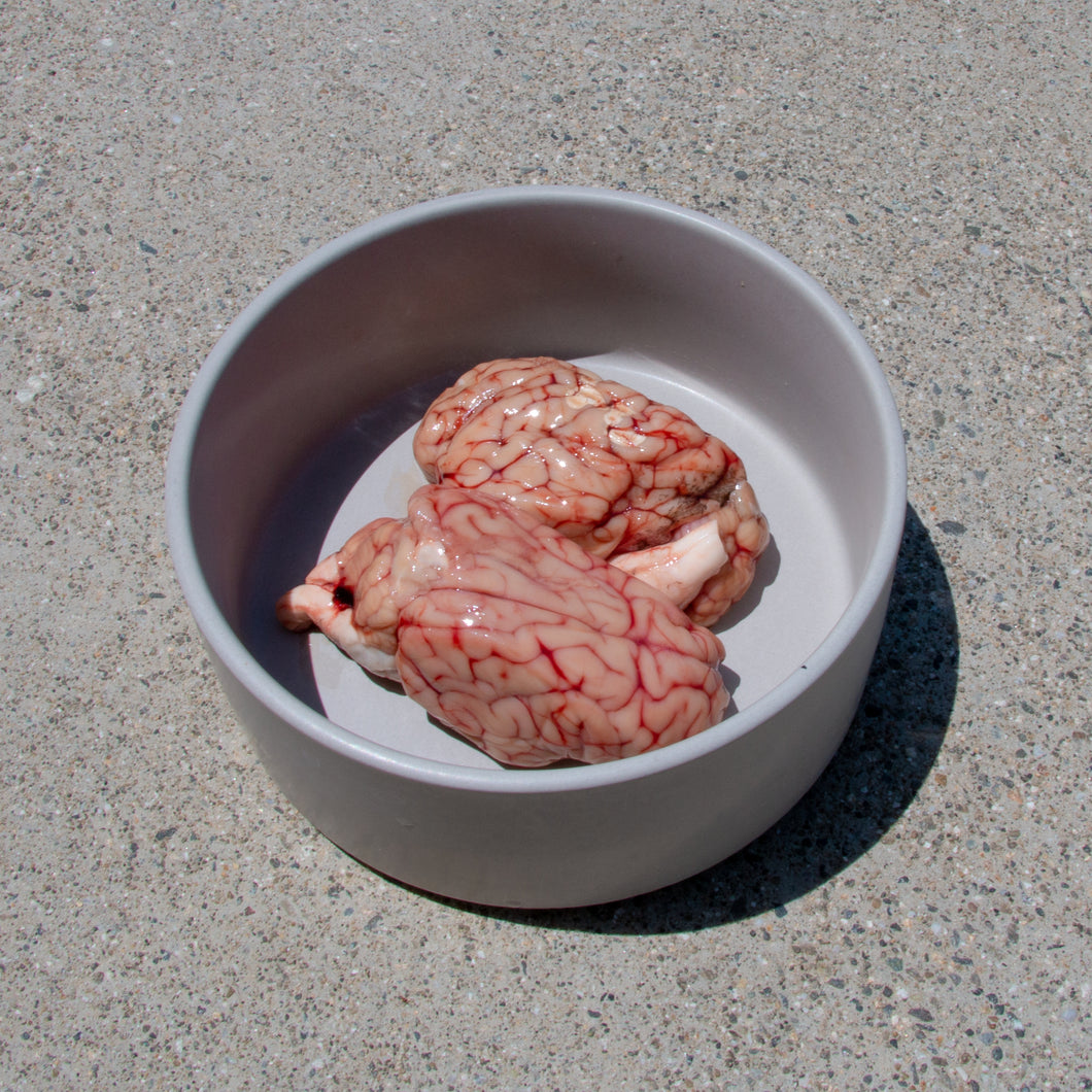 Lamb Brain